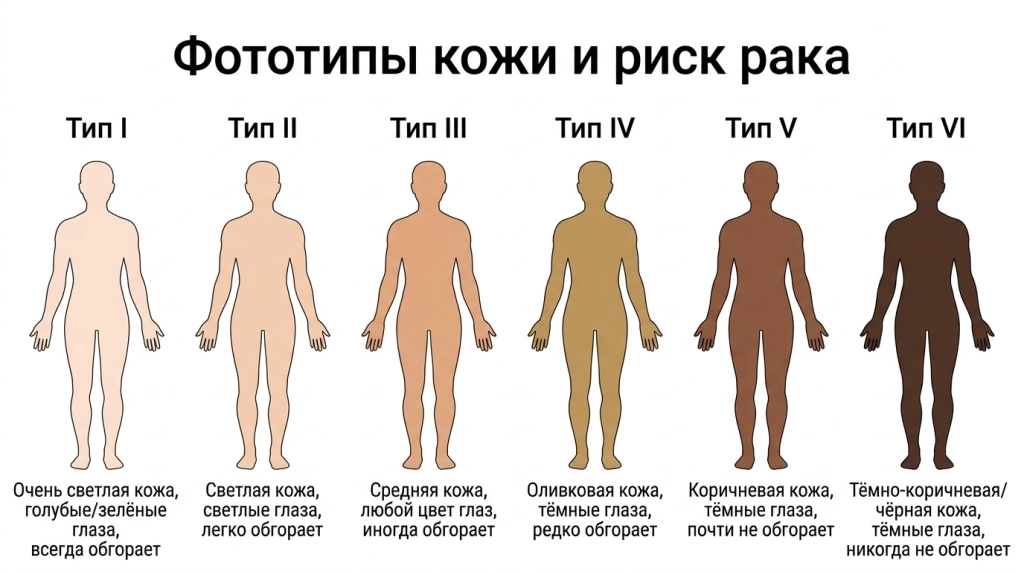Классификация фототипов кожи по Фицпатрику и их связь с риском рака кожи